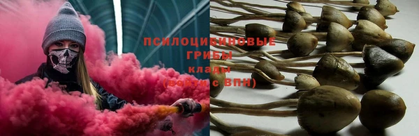 индика Зеленокумск