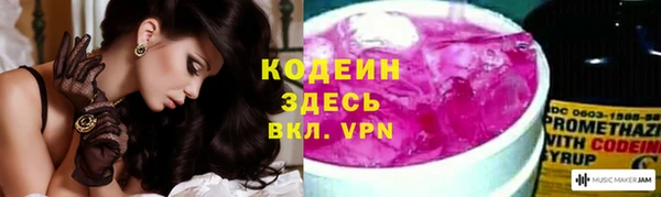 соль ск Зеленодольск