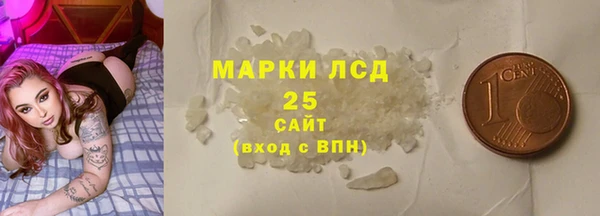 индика Зеленокумск