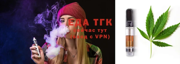 индика Зеленокумск