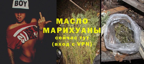 индика Зеленокумск