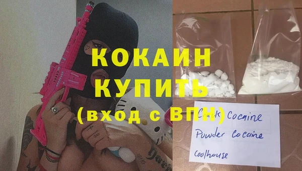 индика Зеленокумск