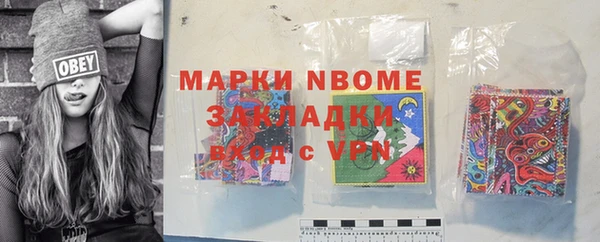 индика Зеленокумск