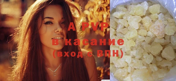 индика Зеленокумск