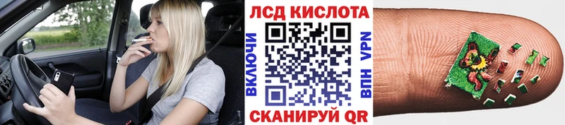 Марки N-bome 1500мкг  что такое наркотик  даркнет телеграм  Щёкино  кракен вход 
